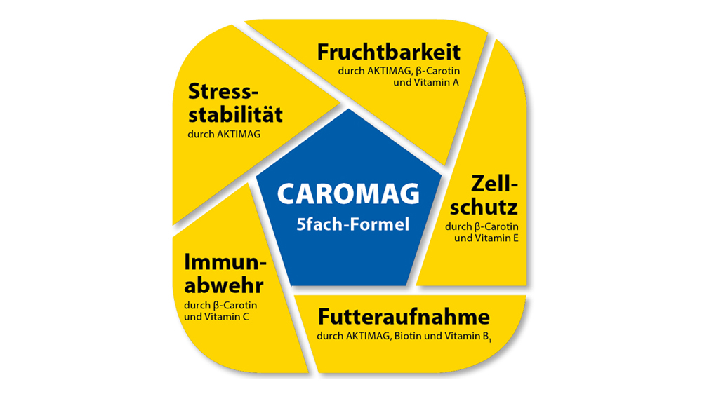 CAROMAG pentru vacile de lapte