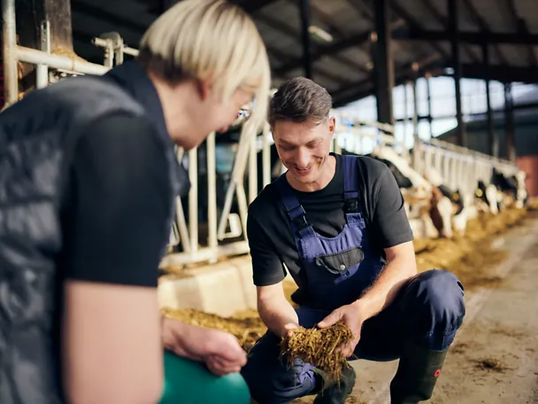Consiliere Masă de hrănire a vitelor Consiliere Masă de hrănire a vitelor