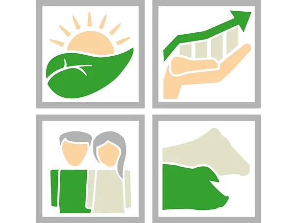 Icoane ale pilonilor durabilității grupate împreună Icoane ale pilonilor durabilității grupate împreună